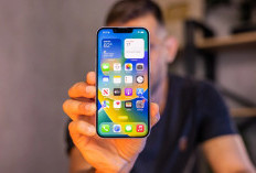 Harga iPhone 14 Pro Max Bekas Turun, Mulai Rp 11 Jutaan per Juli 2025