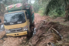 Truk Angkut Minyak Curian Diamankan 