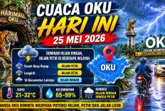 Cuaca OKU Hari Ini Didominasi Hujan Ringan, BMKG: Tetap Waspada Hujan Petir Ancam Sejumlah Wilayah di OKU