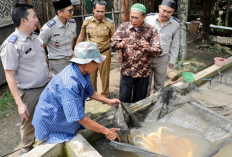 Reforma Agraria Hidupkan Potensi Desa Bandung Jadi Sumber Ekonomi Masyarakat