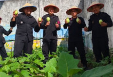 Panen Terong dan Kangkung di Area Lapas