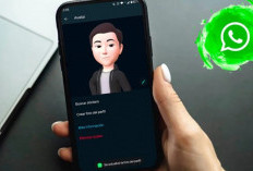 WhatsApp Perkenalkan Fitur Baru, Avatar Kini Bisa Ditampilkan di Info Chat!