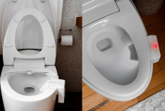 Startup Kesehatan Asal Austin, Throne, Kembangkan Kamera Toilet Canggih untuk Analisis Kesehatan Pencernaan