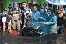 Feby Deru Dorong Lahan Tidur Jadi Sumber Cuan