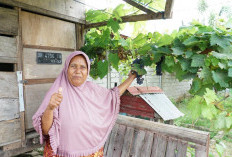 Kampung Reforma Agraria Desa Duyu Juga Bantu Ekonomi Warga Sekitar