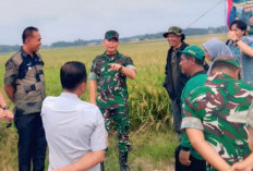 Lakukan Panen Raya Berbasis Mikroba PA63