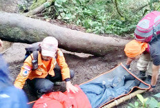 Tiga Pendaki GUnung Dempo Berhasil di Evakuasi