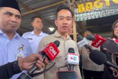 Pro Kontra Wapres Ngantor di Papua