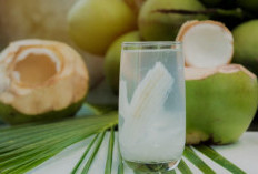 Air Kelapa: Minuman Alami yang Ampuh Meredakan Asam Lambung