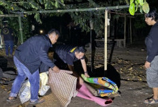 Polres OKU Selatan Bongkar Arena Judi Sabung Ayam di Buay Sandang Aji