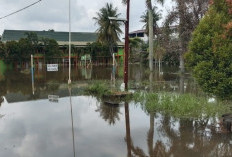 Genangan Air Banjiri Rumah dan Fasilitas Umum