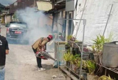 Cegah Penyebaran DBD dan Malaria, Gencarkan Lakukan Fogging