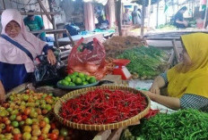 Harga Cabai Naik Tinggi Hingga Dua Kali Lipat