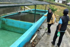 Perketat Pengawasan Balai Benih Ikan Warkuk Ranau Selatan
