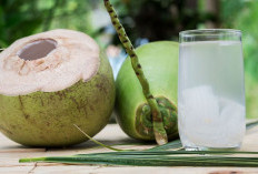 10 Manfaat Dahsyat Air Kelapa untuk Kesehatan, Bikin Tubuh Segar dan Bugar!