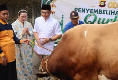 Serahkan Hewan Kurban, Ajak Warga Perkuat Silaturahmi 