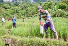 Pasang Patok, Cara Sederhana Cegah Sengketa Tanah dengan Tetangga