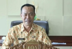 Pengumuman Kelulusan PPPK Pada 2 Februari 2024
