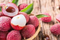 Manfaat Sehat dari Buah Leci untuk Tubuh