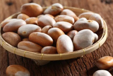 Jangan Dibuang! Ini 4 Khasiat Hebat Biji Nangka untuk Kesehatan Tubuh