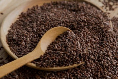 Lebih Aman dari Obat, Ini 5 Tanaman Herbal Penurun Kolesterol Paling Manjur