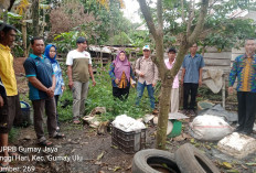 Tingkatkan Kualitas dan Harga Karet