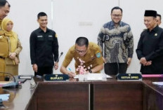 Bupati Ajak Seluruh Pihak Bekerjasama Majukan OKU Selatan