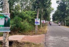 Pohon jadi Sasaran Kampanye, Melanggar?