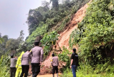 Jalan Pagaralam—Manna Lumpuh Total Akibat Longsor