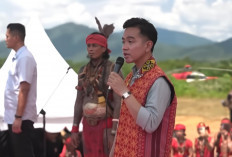 Gibran Pastikan IKN Terus Berlanjut