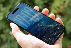 Harga iPhone di iBox Januari 2026 Turun Drastis, Mulai Rp 8 Jutaan hingga Rp 25 Jutaan