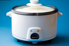 Rekomendasi Rice Cooker 1–2 Liter Terbaik 2026 Hemat Listrik Cocok untuk Anak Kos