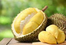 Manfaat Durian yang Jarang Diketahui