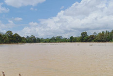 Sawah Terendam Petani Terancam Gagal Panen 