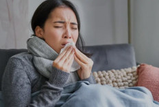 Jangan Anggap Sepele, Flu Biasa Bisa Picu Pneumonia! Begini Penjelasannya
