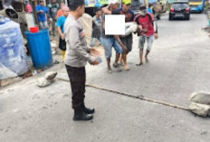 Tersengat Listik Pekerja Bangunan Alami Luka Bakar serius