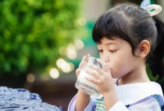 Orang Tua Wajib Tahu! Ini Dampak Jika Anak Minum SKM Setiap Hari