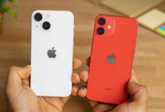 iPhone 12 Mini Masih Diburu di Tahun 2025, Kecil-Kecil Cabe Rawit!