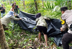 Geger! Warga OKU Timur Temukan Jasad Petani di Tengah Kebun Karet
