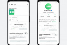 WhatsApp Hadirkan Fitur Baru Buat Penerjemahan dan Panggilan