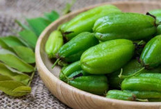 7 Manfaat Luar Biasa Belimbing Wuluh untuk Kesehatan