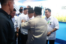 Produksi Beras Peringkat 4 Nasional, Bupati OKU Timur Terima Penghargaan dari Presiden 