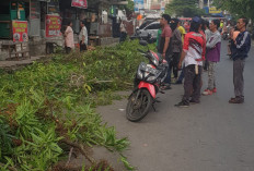 Makin Bersih dan Rapi