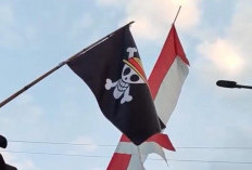 Ketua MPR Bilang Tak Perlu Panik Soal Bendera One Piece