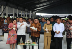 Wamen Ossy: Legalitas Hak Atas Tanah Penting untuk Dukung Pembangunan Desa