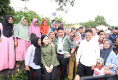 Tinjau Jembatan dan Cetak Sawah, Gubernur Sumsel Puji Pembangunan OKU Timur