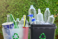 Langkah Simpel untuk Mengurangi Sampah Plastik di Rumah