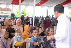 Jokowi Bagi-Bagi Cadangan Beras 