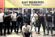 Modus Sewa, Bawa Kabur 3 Mobil,