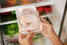 Tips Ampuh Menyimpan Daging Ayam di Kulkas agar Tetap Segar dan Bebas Bau